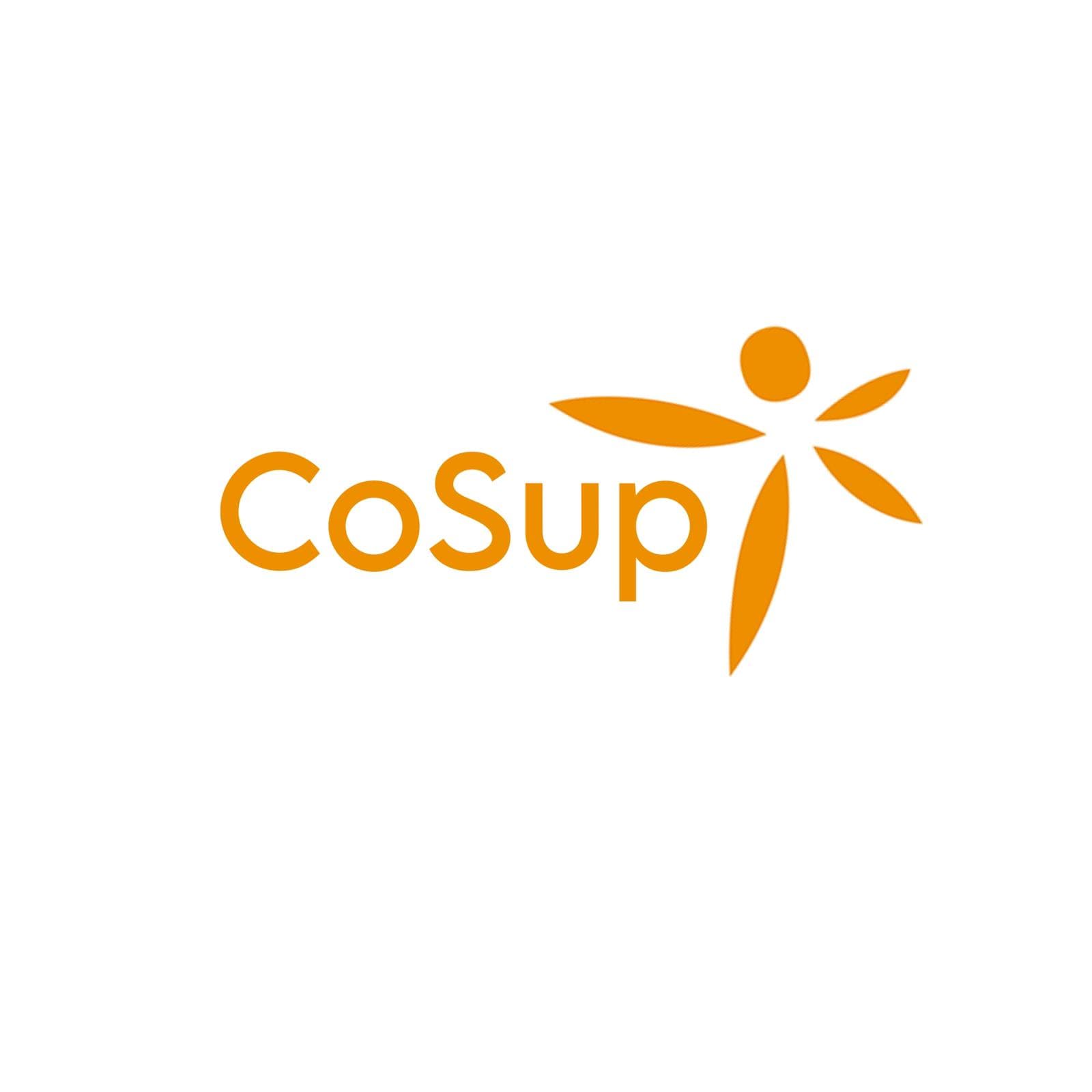 OBESSU membership